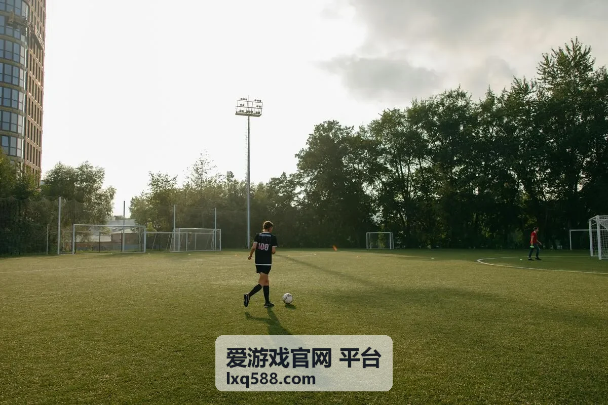 爱游戏官网平台 塔防策略游戏铁壁防线封面